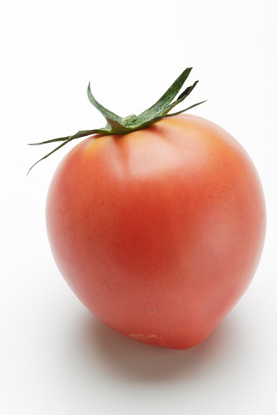 ̥ȥޥ вڡfd400507