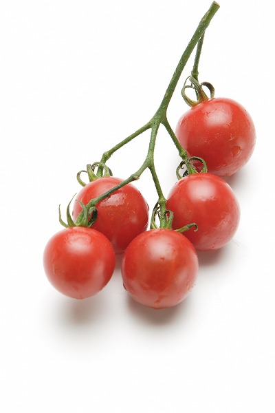 ޤĤ ץȥޥ вڡfd400546