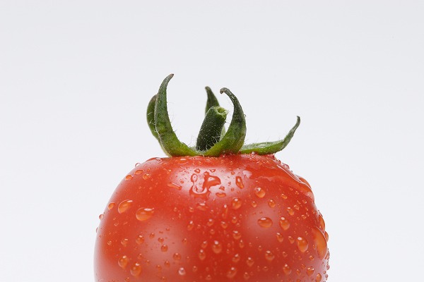 ũ ץȥޥȡfd400566
