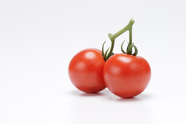 ե롼ĥȥޥ ޤĤߥ˥ȥޥȡfd400582