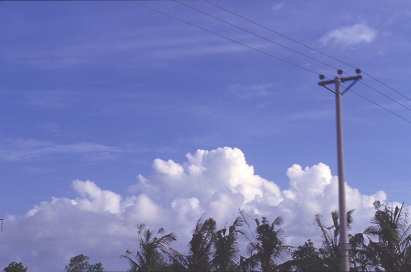 Ķƻsor0008-001