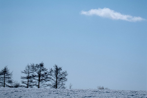 北海道 冬の空 雪のフリー写真素材 無料画像素材のプロ・フォト sor0036-010