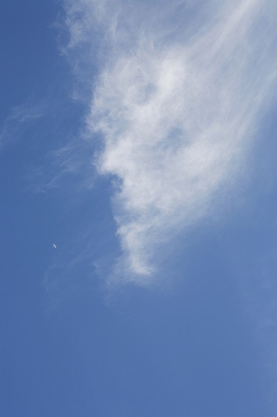 Ķ sor0127-001