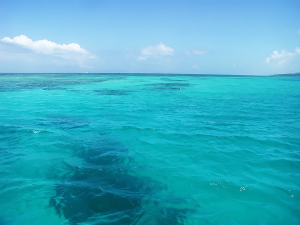 南国の海 エメラルドグリーンのフリー素材 無料画像のプロ・フォト