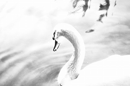 Ļ brd0021-005