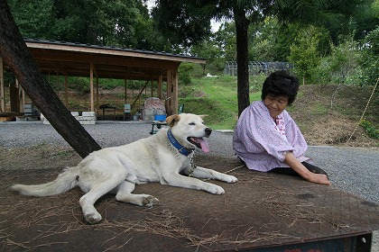 ļ˸ȤФ dog0148-041