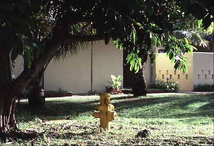  kis0005-001
