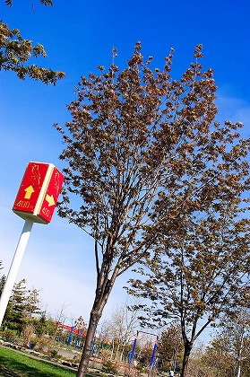  pbl0012-004