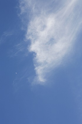 Ķ  sor0127-001