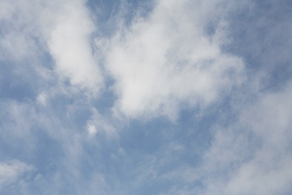 Ķ  sor0135-001
