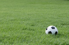 芝生の上のサッカーボール bal0002-001